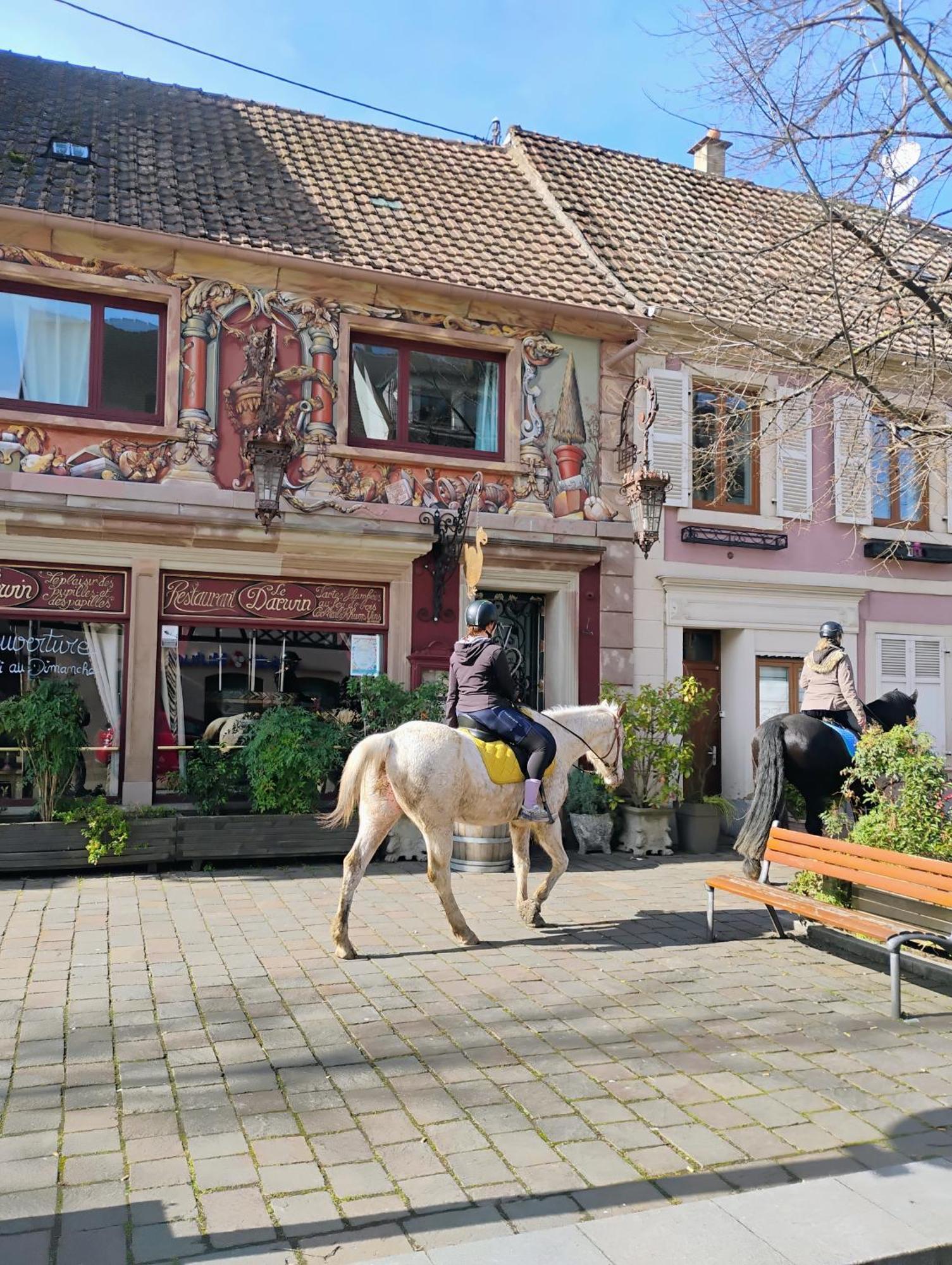 Gite Le Marronnier - Au Calme - Parking & Terrasse - Pres De Colmar Et Riquewihr - Route Des Vins Châtenois Exterior foto