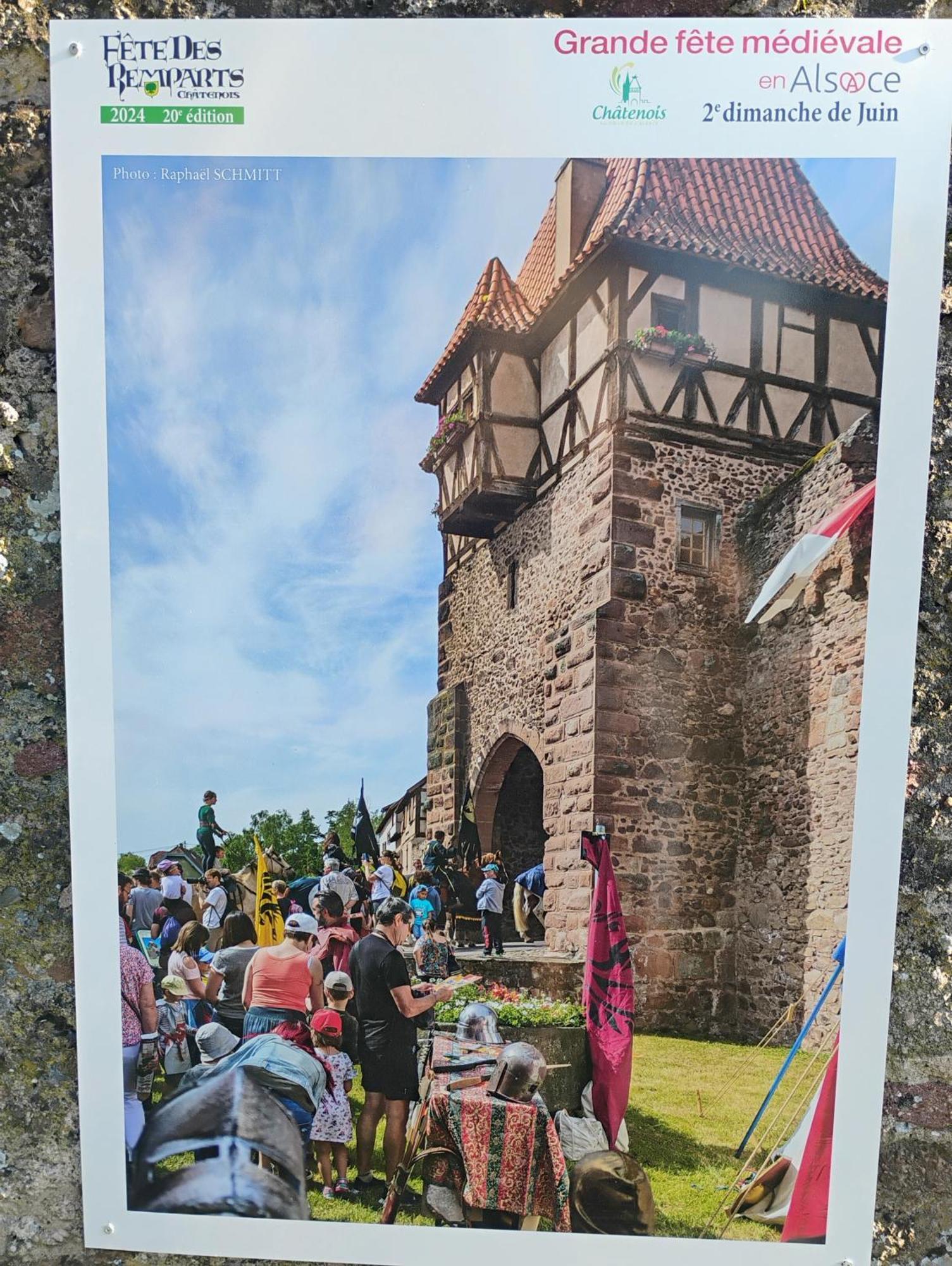 Gite Le Marronnier - Au Calme - Parking & Terrasse - Pres De Colmar Et Riquewihr - Route Des Vins Châtenois Exterior foto